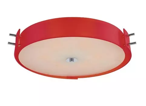 Светильник потолочный ST Luce SL484.602.06