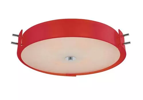 Светильник потолочный ST Luce SL484.702.04