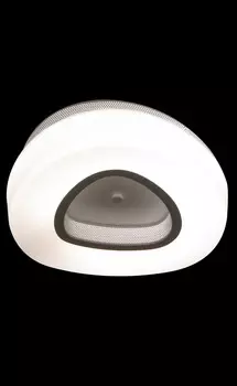 Светильник потолочный ST Luce SL878.502.01