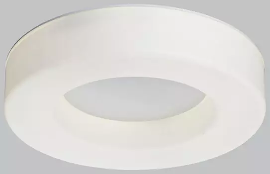 Светильник потолочный ST Luce SL886.502.01