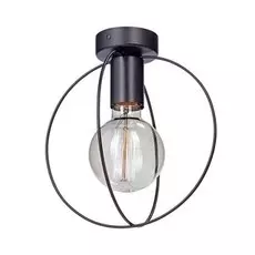 Светильник потолочный Vitaluce V4328-1/1PL