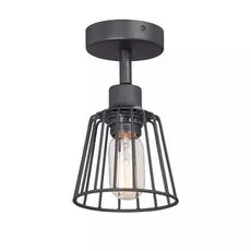 Светильник потолочный Vitaluce V4589-1/1PL