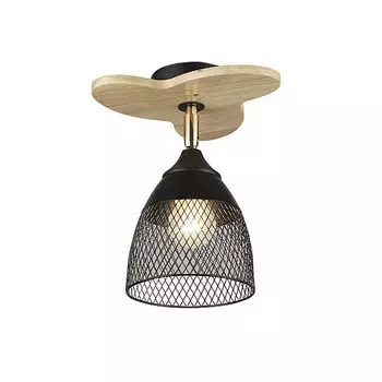 Светильник потолочный Wedo Light Veyla WD3509/1C-BK