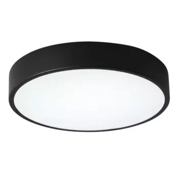 Светильник потолочный Zortes Tortty ZRS.02563.48