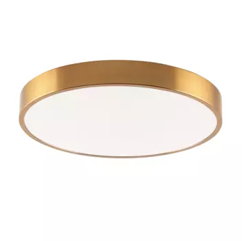 Светильник потолочный Zortes Tortty ZRS.02566.72