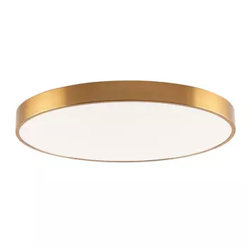 Светильник потолочный Zortes Tortty ZRS.02566.96