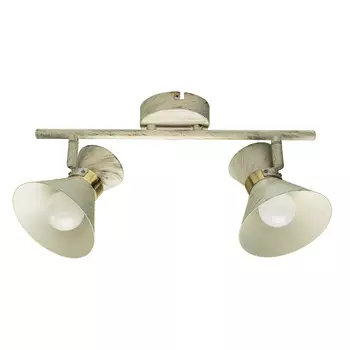 Светильник спот Arte Lamp A1406AP-2WG