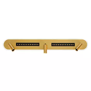 Светильник спот Arte Lamp A2220PL-3GO