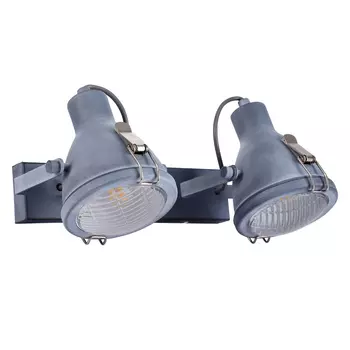 Светильник спот Arte Lamp Faro A9178AP-2GY