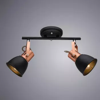 Светильник спот Arte Lamp Jovi A1677PL-2BK