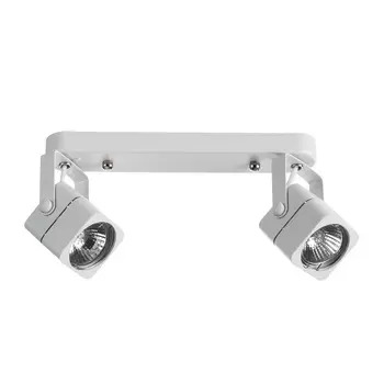 Светильник спот Arte Lamp Lente A1314PL-2WH