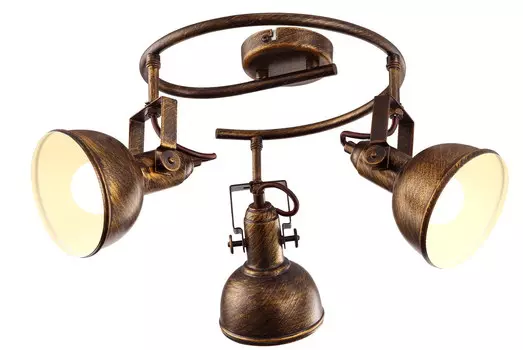 Светильник спот Arte Lamp MARTIN A5215PL-3BR