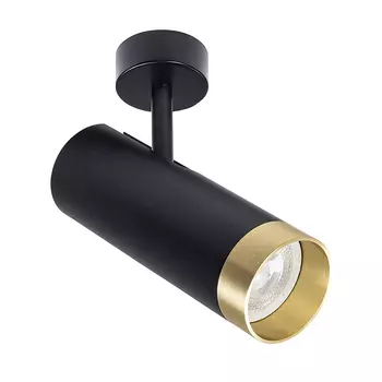 Светильник спот Arte Lamp Topic A2357PL-1BK