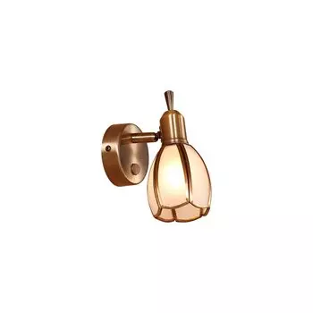 Светильник спот Citilux Альтен-2 CL522611