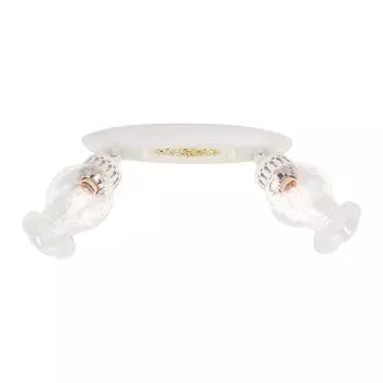 Светильник спот Citilux Метафора CL413122