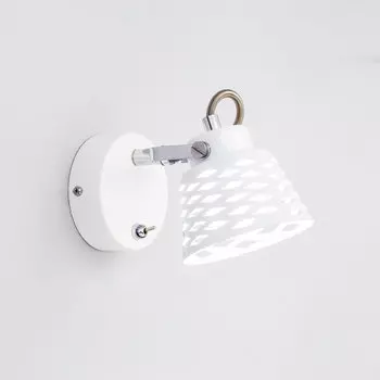 Светильник спот Citilux Орегон CL508510