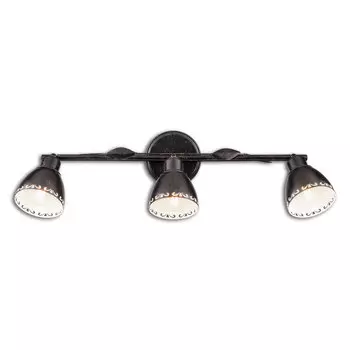 Светильник спот Citilux Робуста CL509532