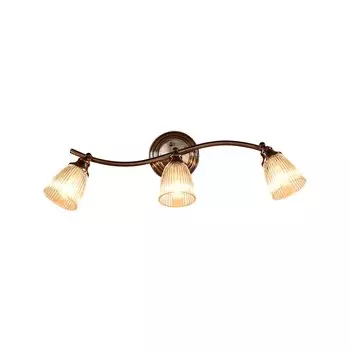 Светильник спот Citilux Виндзор CL539531