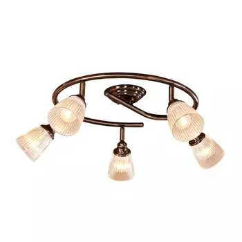 Светильник спот Citilux Виндзор CL539551