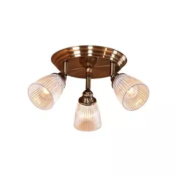 Светильник спот Citilux Виндзор CL539631