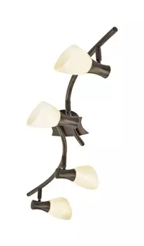 Светильник спот Eglo Ona 87481