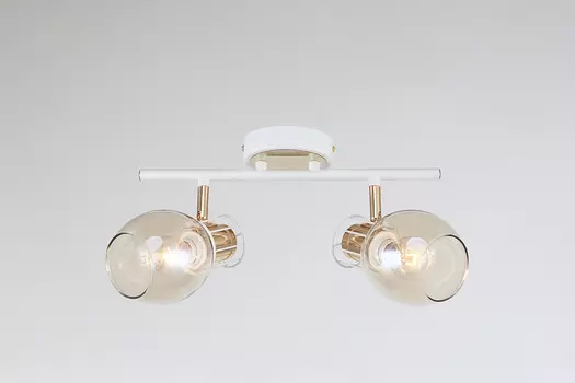 Светильник спот Escada Phantom 1137/2A