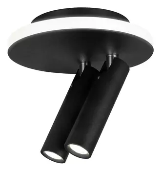 Светильник спот Escada 20019 20019SMA/02LED SBK