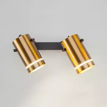 Светильник спот Eurosvet Bronze 20063/2 LED античная бронза 18W