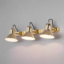 Светильник спот Eurosvet Canotier 20082/3 золото