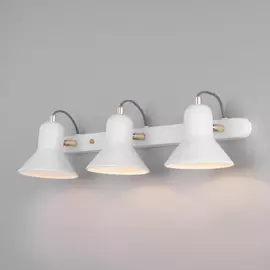 Светильник спот Eurosvet Canotier 20083/3 белый/золото