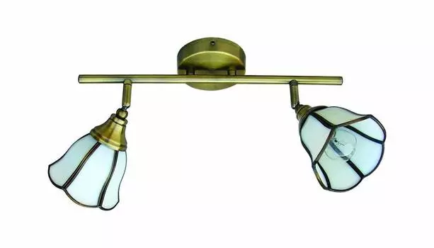 Светильник спот Favourite North Tulip 5033-2C