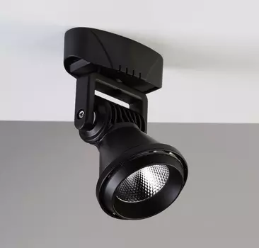 Светильник спот Favourite Projector 1766-1U