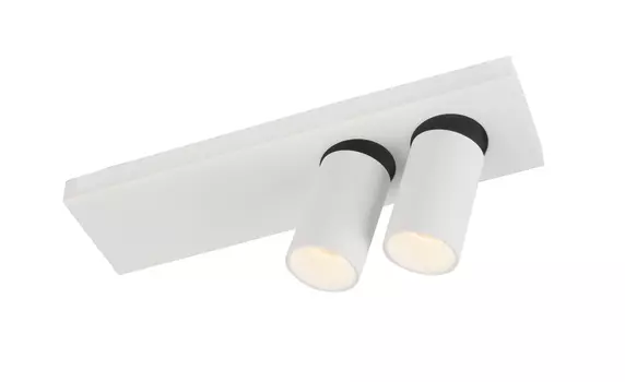 Светильник спот Globo Luwin I 55004-22