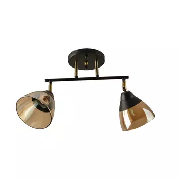 Светильник спот Hiper Rafaelo H193-2