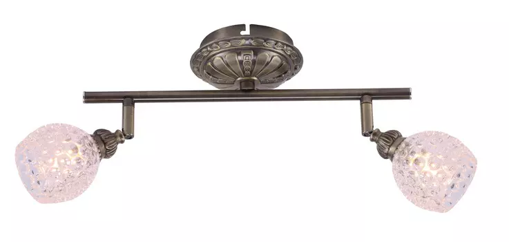 Светильник спот Lamplandia Alnus L9013-2