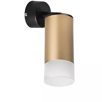 Светильник спот Lightstar Rullo RB44031