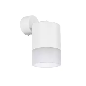 Светильник спот Lightstar Rullo RBX348681