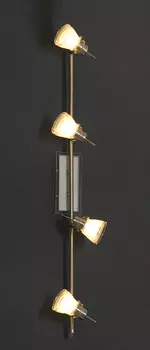 Светильник спот Lussole Asseggiano LSL-7609-04