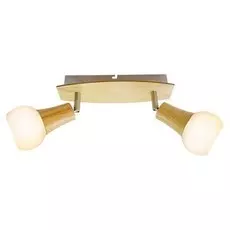 Светильник спот Lussole Chandler LSP-0120