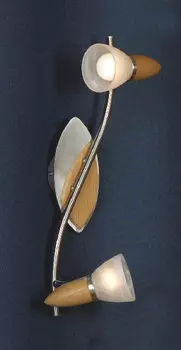 Светильник спот Lussole Cisterino LSQ-6411-02