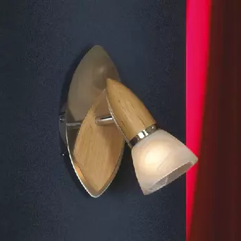 Светильник спот Lussole Cisterino LSQ-6411-01