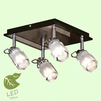 Светильник спот Lussole GRLSL-7901-04