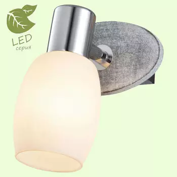 Светильник спот Lussole GRLSP-0055