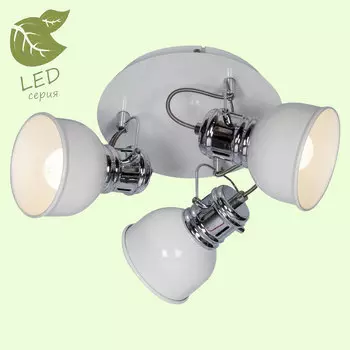 Светильник спот Lussole GRLSP-9956