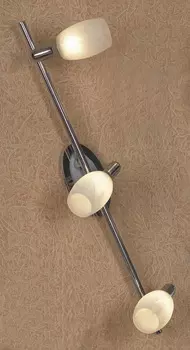 Светильник спот Lussole Lissone LSL-8301-03