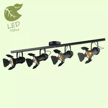 Светильник спот Lussole LOFT GRLSP-8076