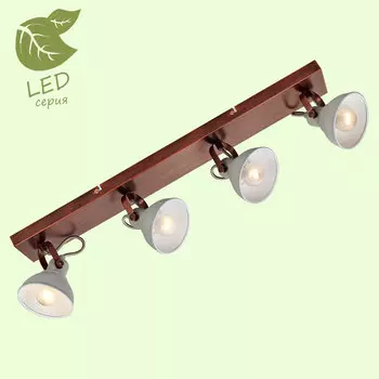 Светильник спот Lussole LOFT GRLSP-9829