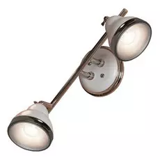 Светильник спот Lussole LOFT Littleton LSN-6201-02