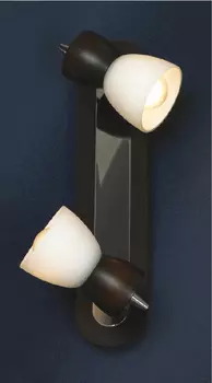 Светильник спот Lussole Messina LSL-8201-02