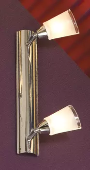 Светильник спот Lussole Rasen LSL-5091-02